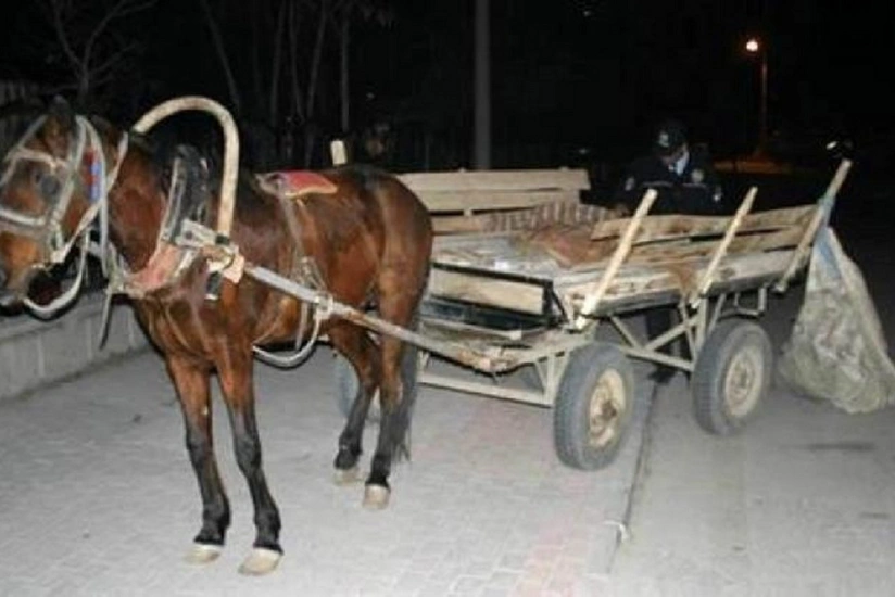 Qax sakini at arabasını aşırıb, ölən var