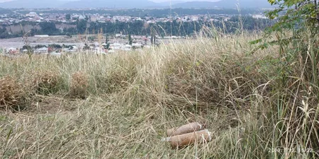 Qubada 2 ədəd top mərmisi aşkarlanıb