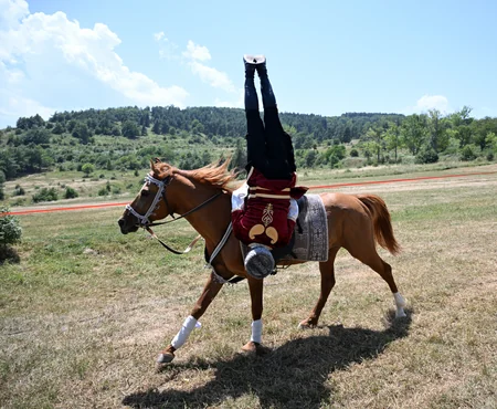 Karabakh horse named “Dostlug” presented to Gurbanguly Berdimuhamedov at Jidir Duzu plain