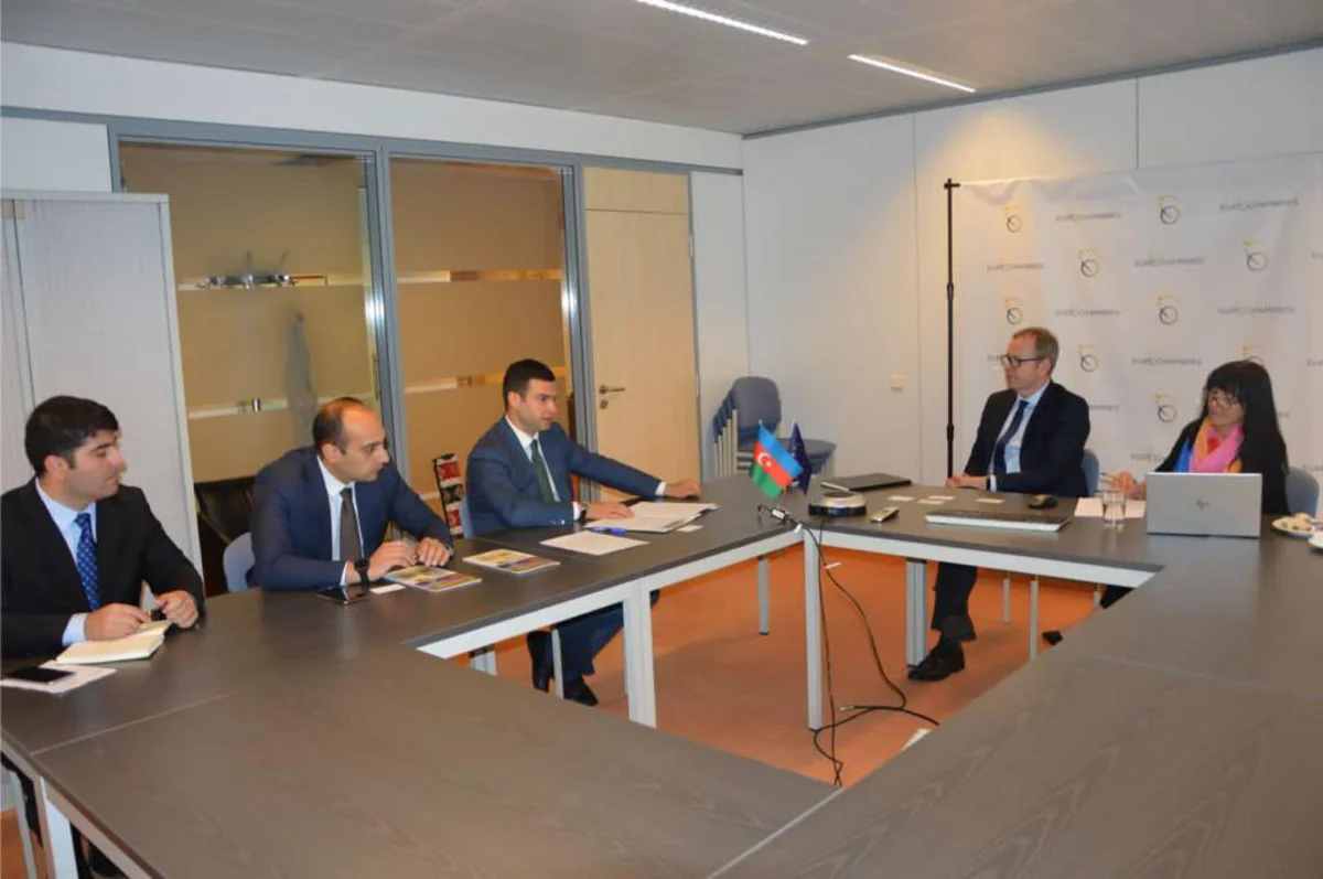 KOBİA Avropa təşkilatları ilə birgə layihələrə dəstəyi müzakirə edib