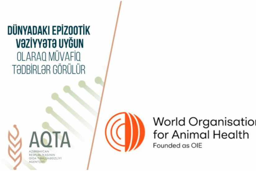 Азербайджан ограничил ввоз мясной продукции из Молдовы и Ливии