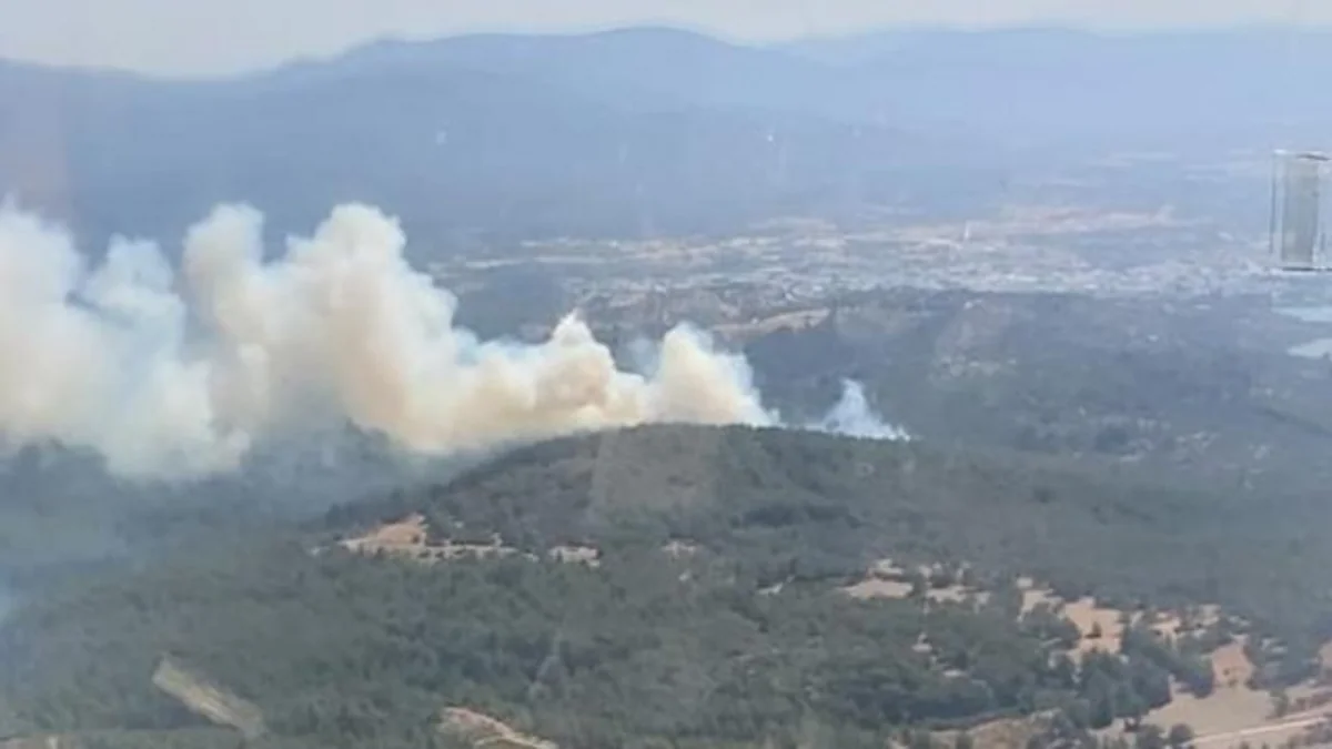 Şabranda dağlıq-meşəlik ərazidə yanğın başlayıb
