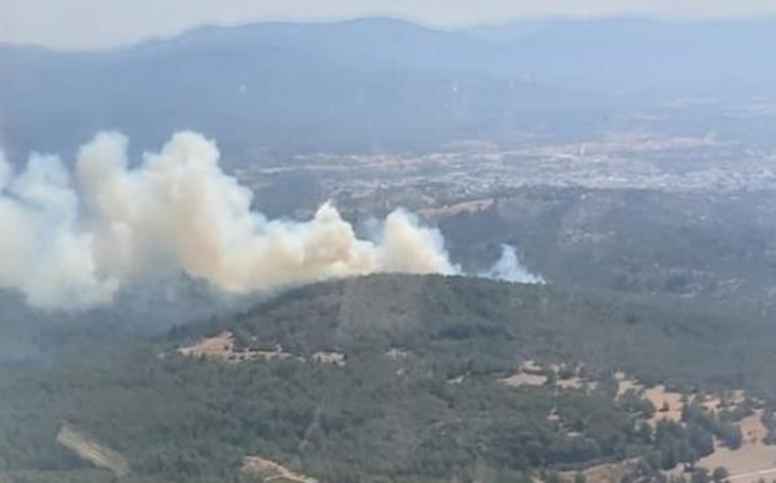 Fire breaks out in hilly-forest area in Shabran