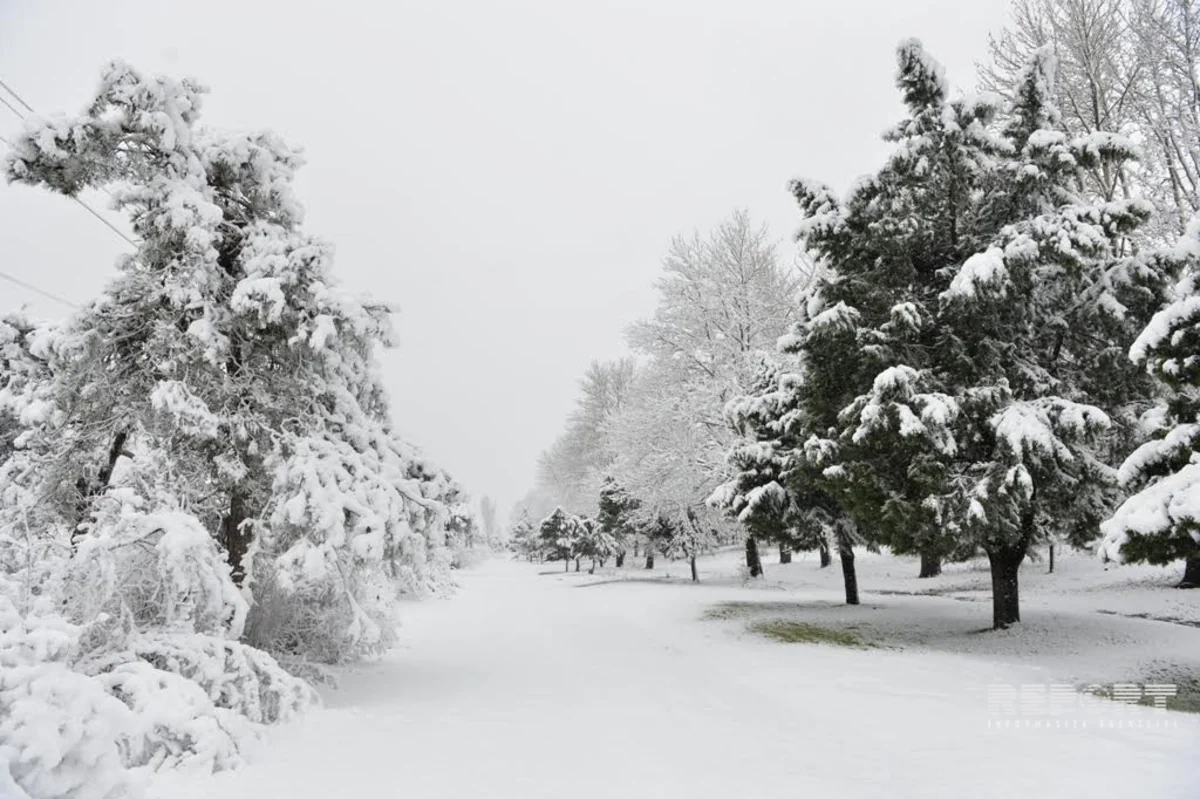 Şahdağda qarın hündürlüyü 41 sm-ə çatıb - FAKTİKİ HAVA