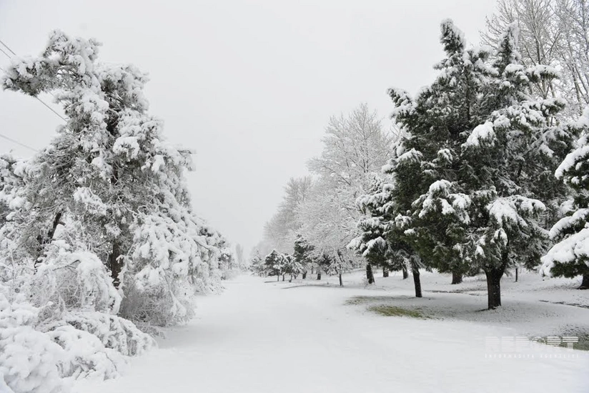 Snow depth reaches 41 cm in Shahdagh - ACTUAL WEATHER