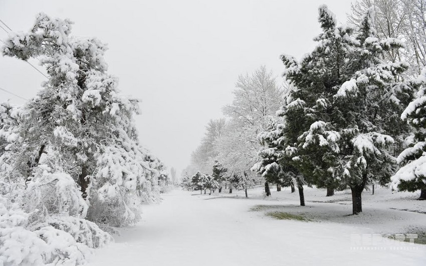 Snow depth reaches 41 cm in Shahdagh - ACTUAL WEATHER