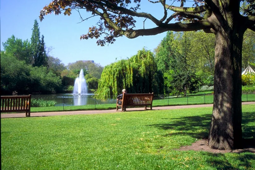 Bakıda yeni Yaşıl Park və Nəbatat Parkı salınacaq