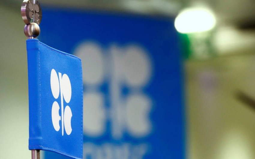 OPEC-ə üzv ölkələr gündəlik hasilatı 1,2 milyon barel azaltmaq barədə razılığa gəliblər - YENİLƏNİB