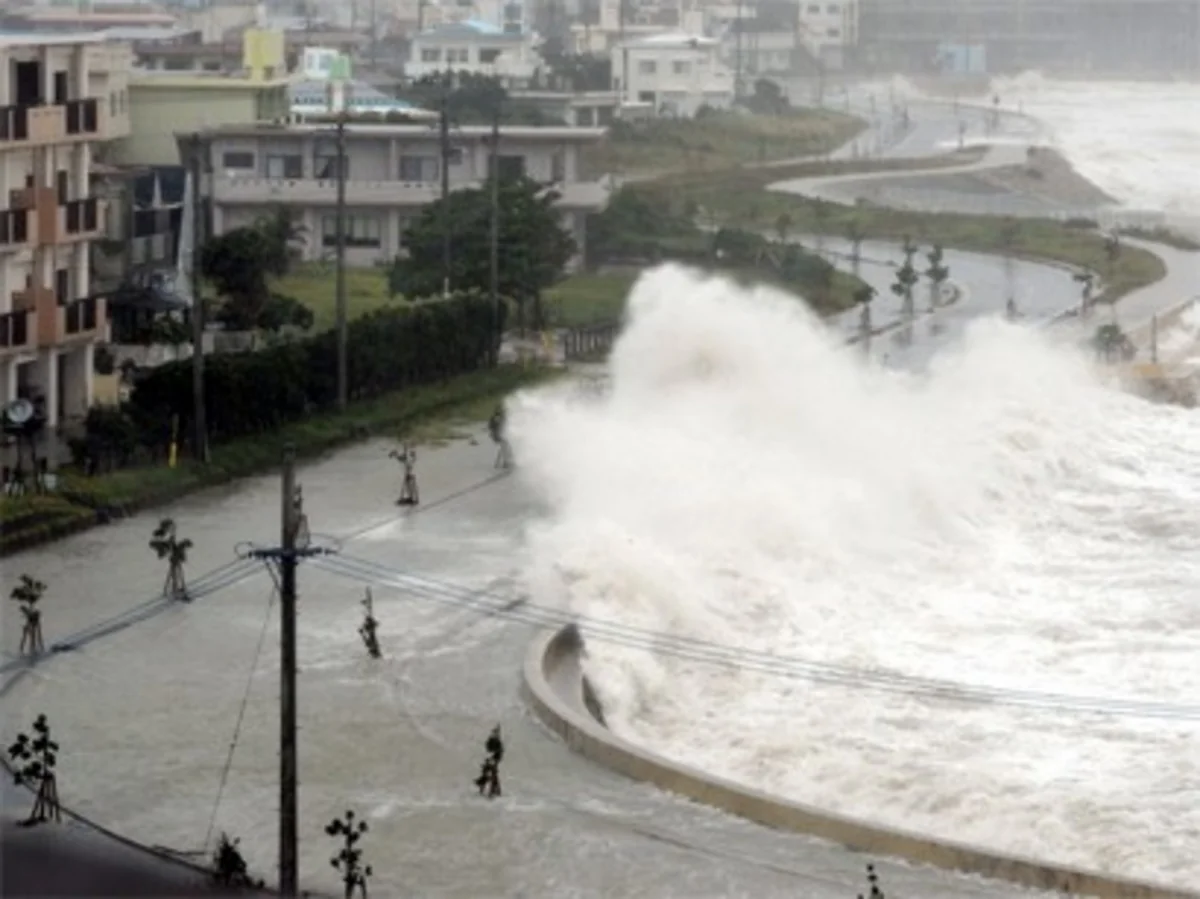 Japan: Damage caused by typhoon Hagibis exceeds $902 mln