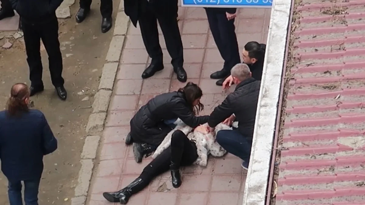 Sabiq icra başçısının oğluna yeni ittiham irəli sürülüb - VİDEO