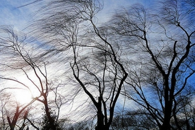 FHN küləkli hava şəraiti ilə bağlı əhaliyə müraciət edib