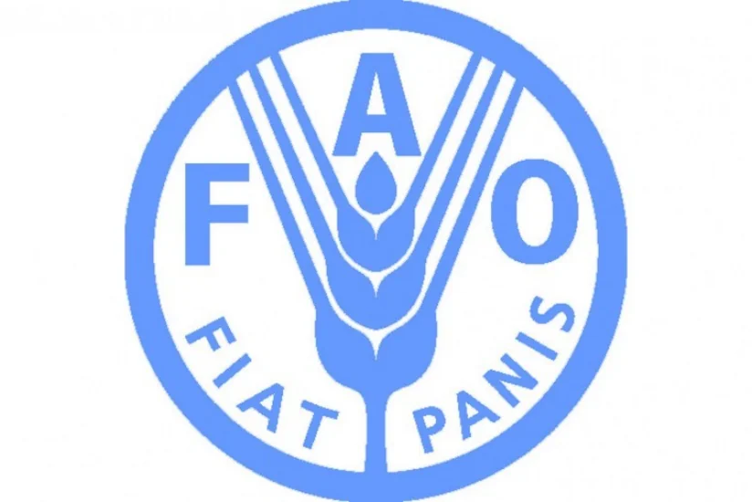 FAO-nun Azərbaycan nümayəndəliyi saxta əməliyyatlarla bağlı xəbərdarlıq edib