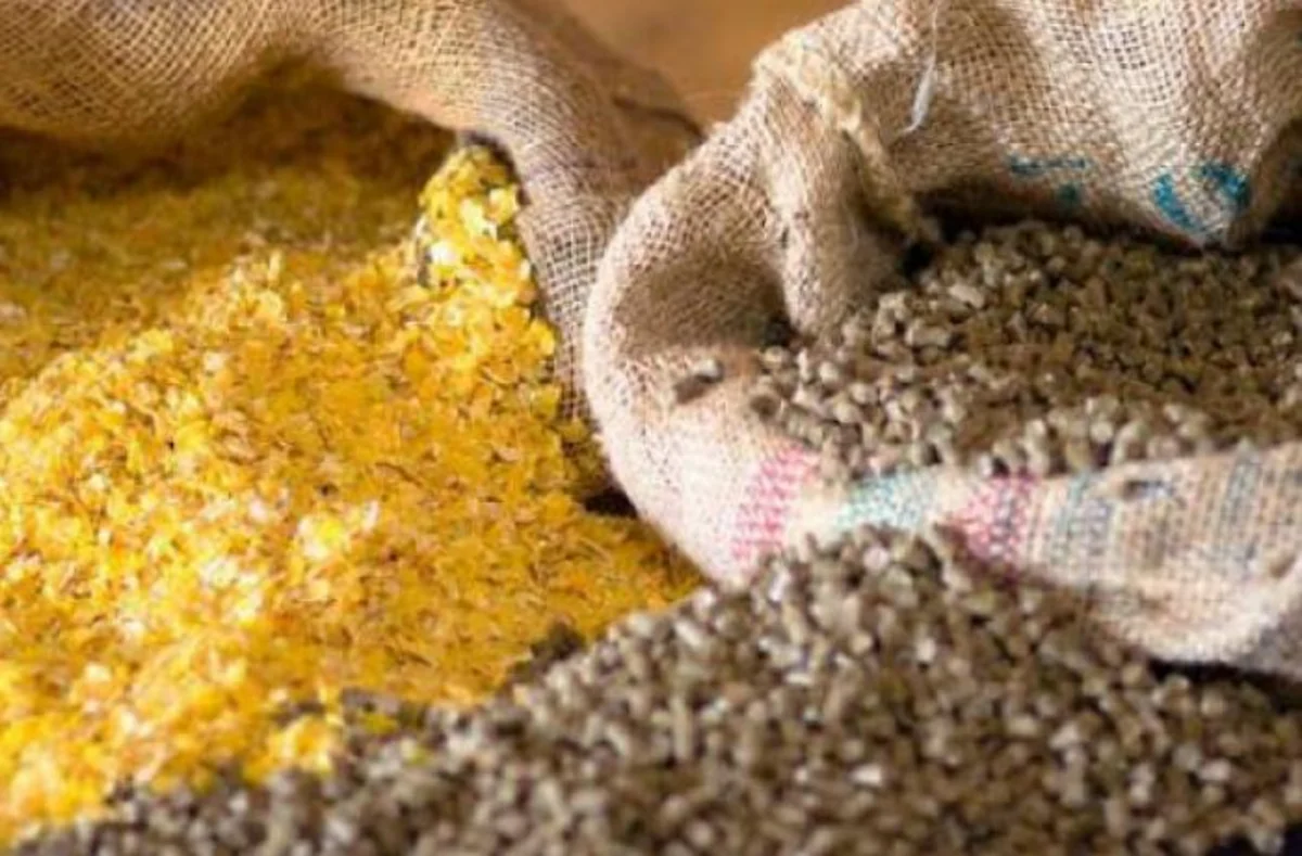 Azerbaijan resumes animal feed imports from UAE