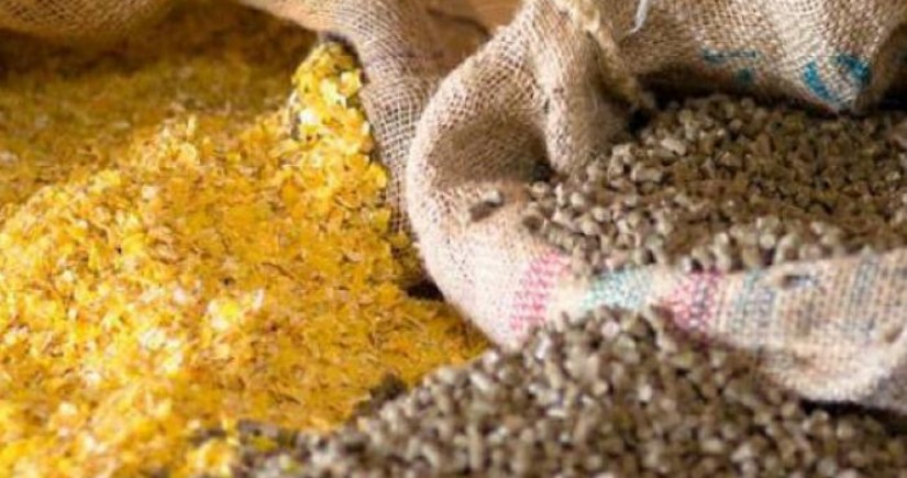 Azerbaijan resumes animal feed imports from UAE