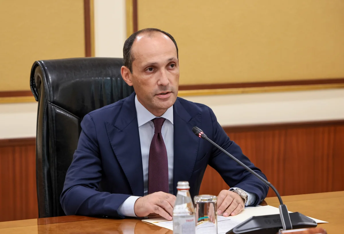 Levan Davitashvili: Feasibility study for Black Sea underwater cable project ready