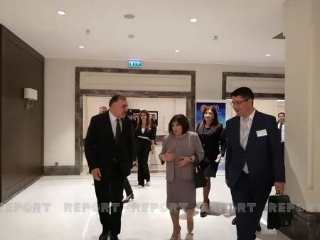 В Стамбуле состоялась встреча председателей парламентов Азербайджана и Турции