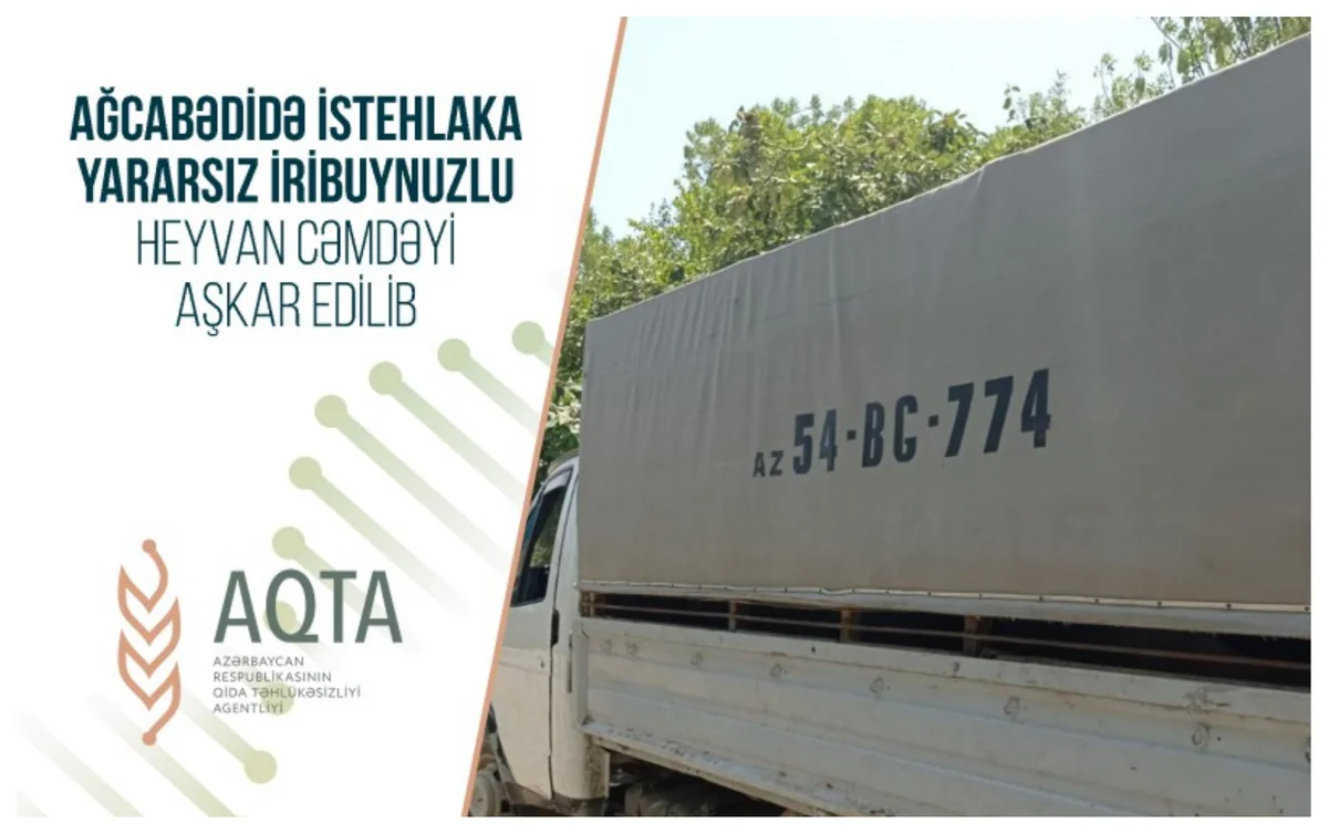 Ağcabədidə istehlaka yararsız iribuynuzlu heyvan cəmdəyi aşkar edilib