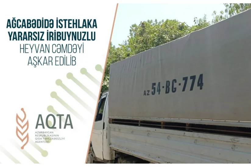Ağcabədidə istehlaka yararsız iribuynuzlu heyvan cəmdəyi aşkar edilib
