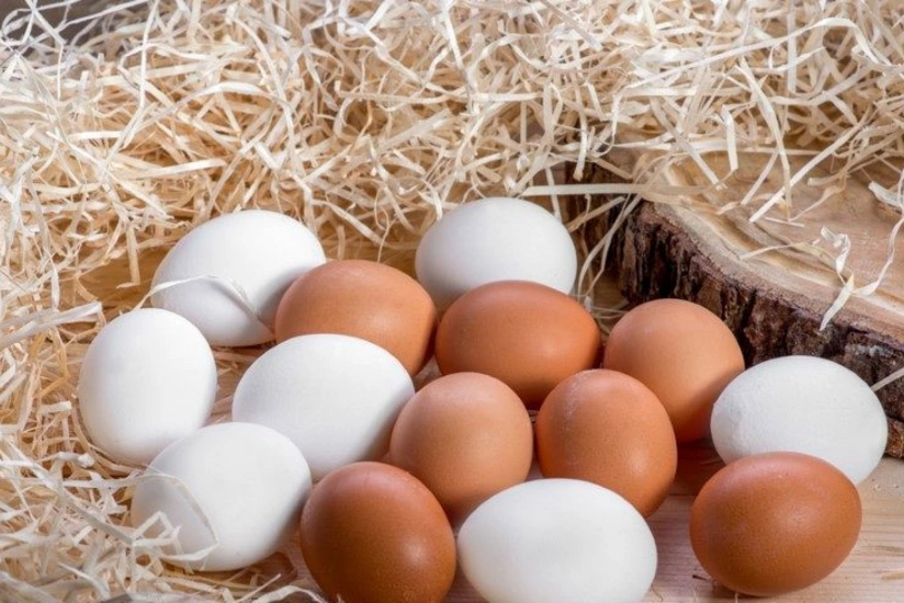 Eggs contain deadly bacteria