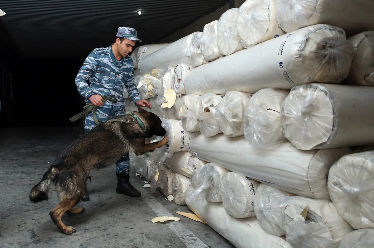 İrandan Azərbaycan ərazisi ilə Ukraynaya aparılan heroin müsadirə edilib