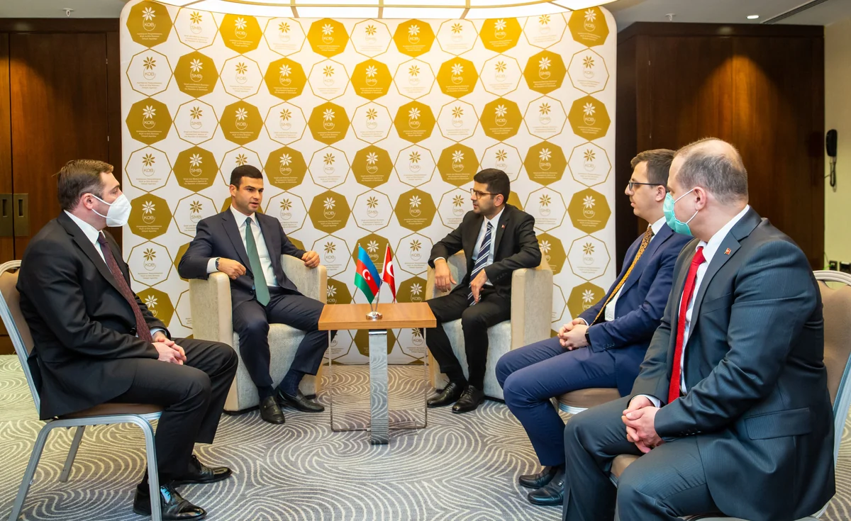 Turkey to expand investment in Azerbaijani business
