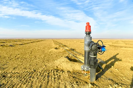 В Евлахском пилотном агропарке будут обеспечены работой 1 500 человек