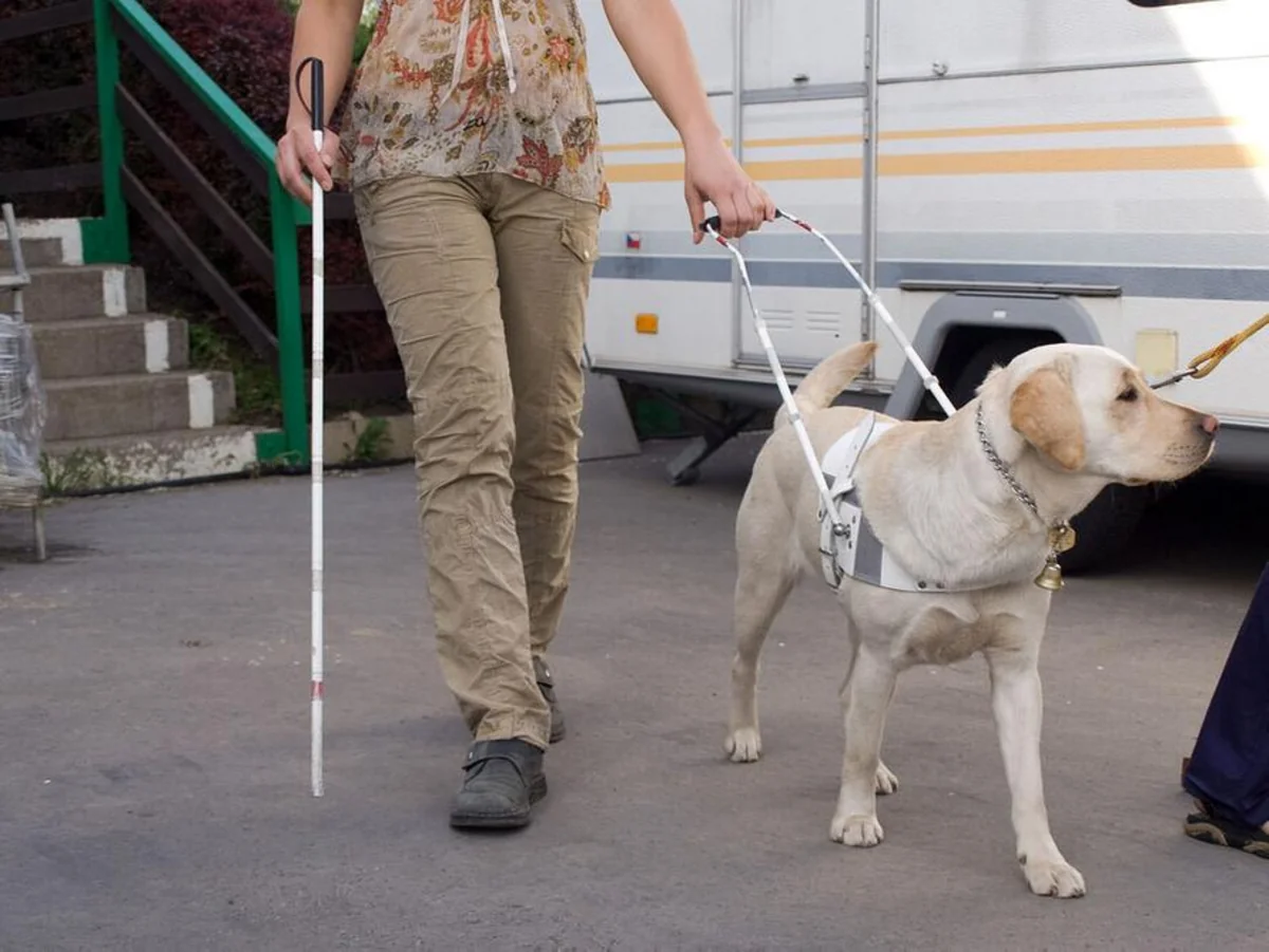 Слепая женщина отсудила у Uber $1,1 млн за отказ везти ее с собакой