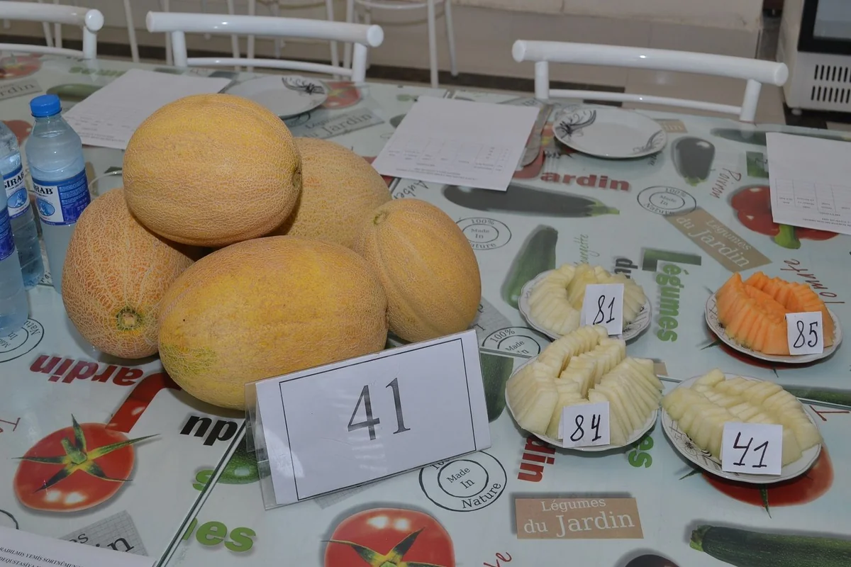 Azərbaycanda yeni yemiş sortu yetişdirilib