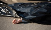 В Гёйчае мужчина погиб, упав с дерева