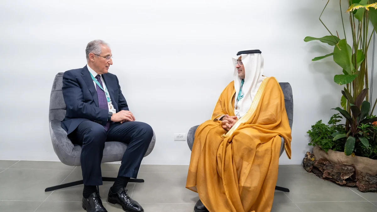 COP29 president, Saudi National Center for Wildlife CEO mull water security