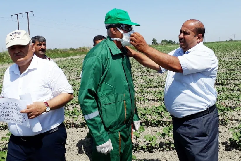 Salyan və Neftçalada pambıq sahələrində texniki təhlükəsizlik qaydaları ilə bağlı təlim keçirilib