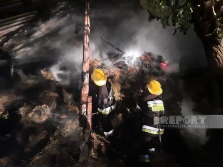 Şahbuzda ot bağlamalarında yanğın olub