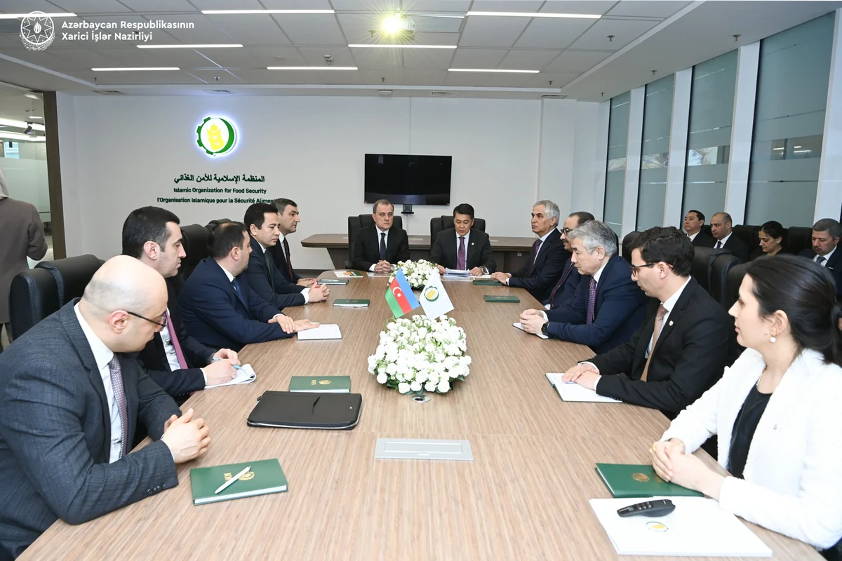 Azerbaijan and OIC mull strengthening cooperation