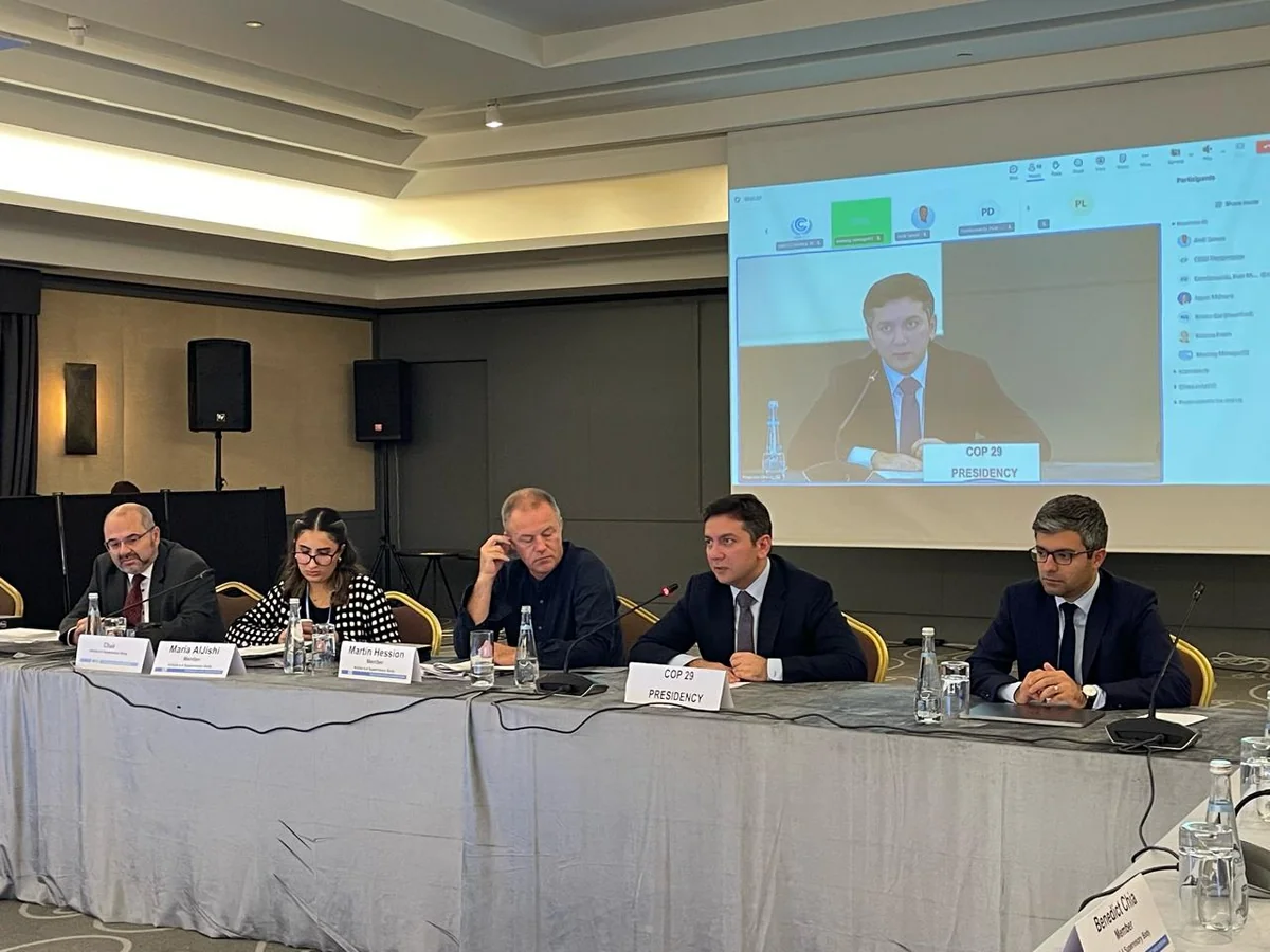 Yalçın Rəfiyev SBM komissiyasının iclasında çıxış edib