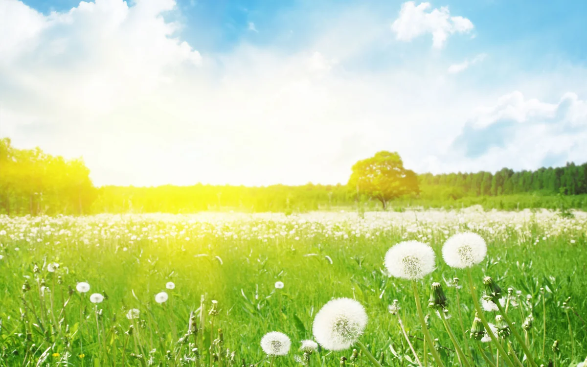 Azerbaijan weather forecast for April 26