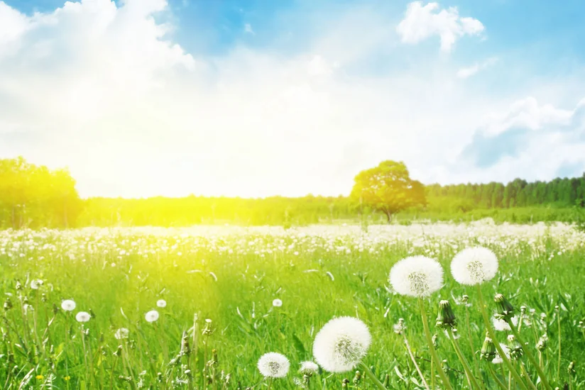 Azerbaijan weather forecast for April 26