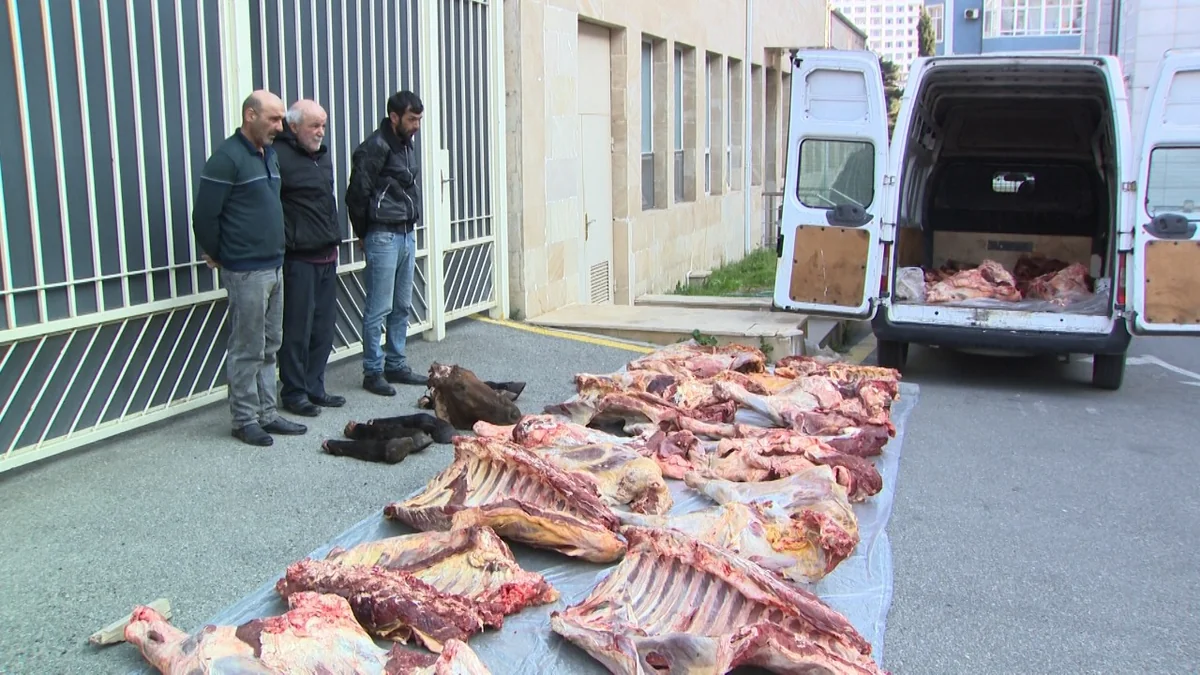 Xaçmazda yararsız 4 ton at və mal əti satan şəxslər həbs edilib