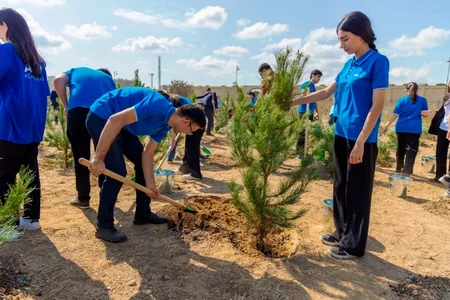 Bakıda Anım Günü ilə əlaqədar ağacəkmə aksiyası keçirilib