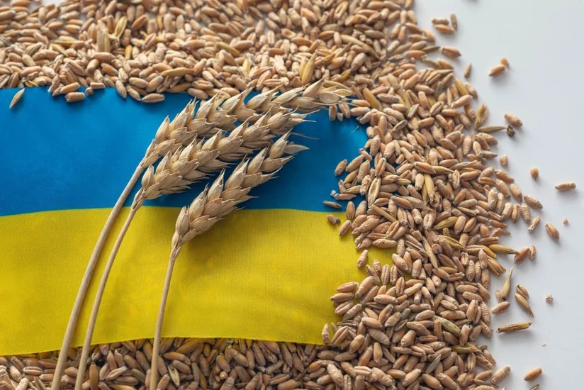 Румыния намерена совершать транзит 60% украинского зерна