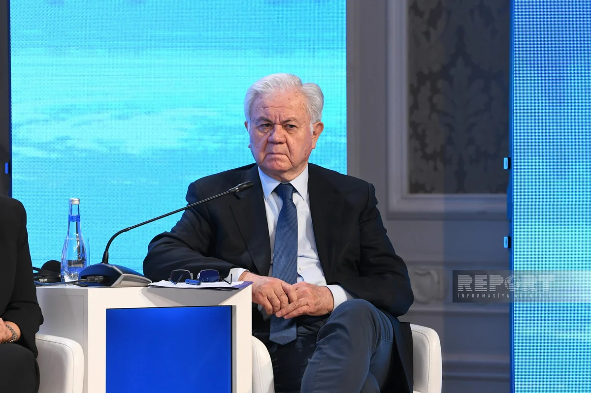 Rəşid Əlimov: İtki və Zərər Fondu iqlim problemlərinə effektiv cavab verməlidir