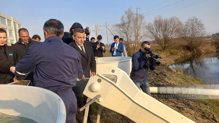 Masallıda Viləş çayına 87 min balıq körpəsi buraxılıb