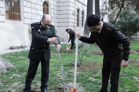 Dövlət Xidməti növbəti dəfə ağacəkmə aksiyası keçirdi