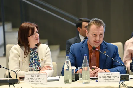 Azerbaijan, Tatarstan discuss developmental directions of economic partnership
