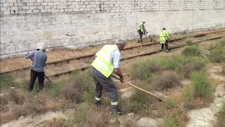 Bakıda yanğına səbəb olan quru ot, kol-kos və məişət tullantıları yığılan sahələr təmizlənib