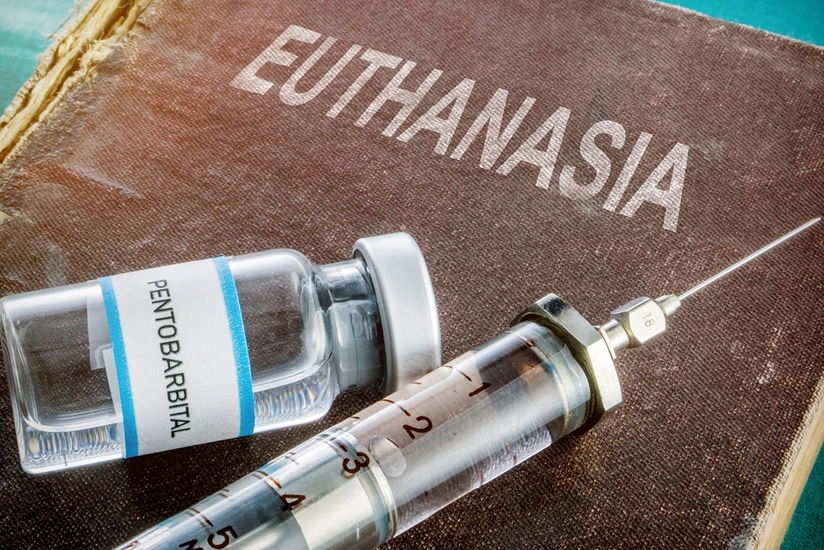 Avropanın daha bir ölkəsi evtanaziyaya icazə verəcək