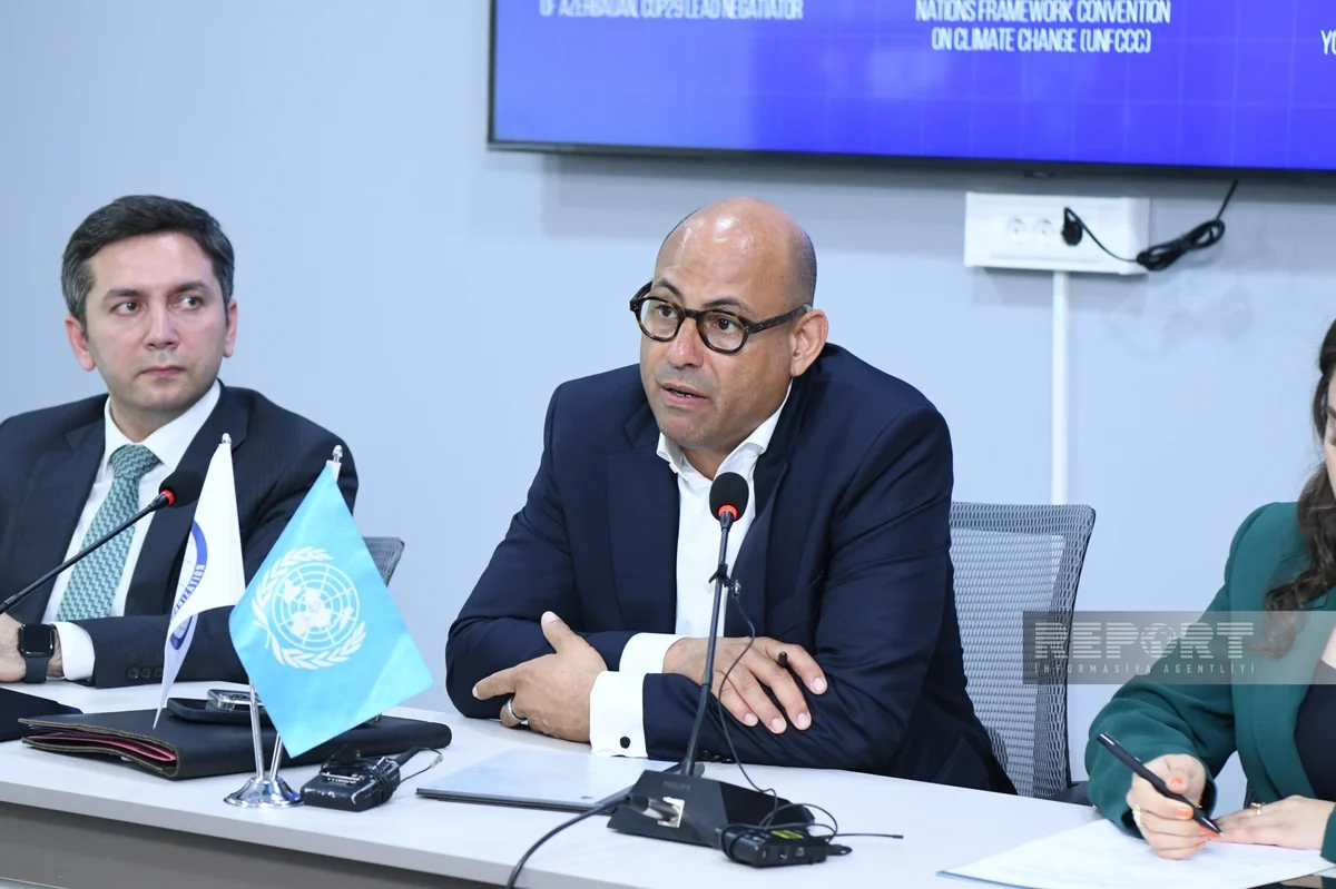 Saymon Stil: Bu gün görülən işlər qlobal iqlim probleminin qarşısını almağa xidmət edir