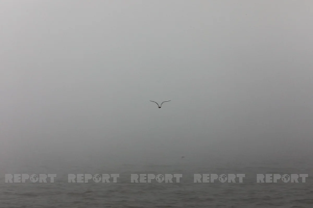 Bəzi yerlərdə duman, dağlıq rayonlarda 12 dərəcəyədək şaxta qeydə alınıb - FAKTİKİ HAVA