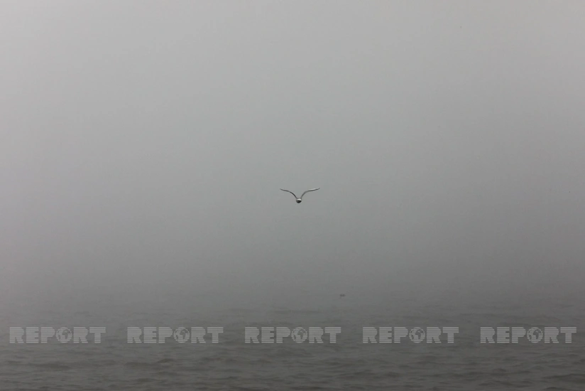 Bəzi yerlərdə duman, dağlıq rayonlarda 12 dərəcəyədək şaxta qeydə alınıb - FAKTİKİ HAVA