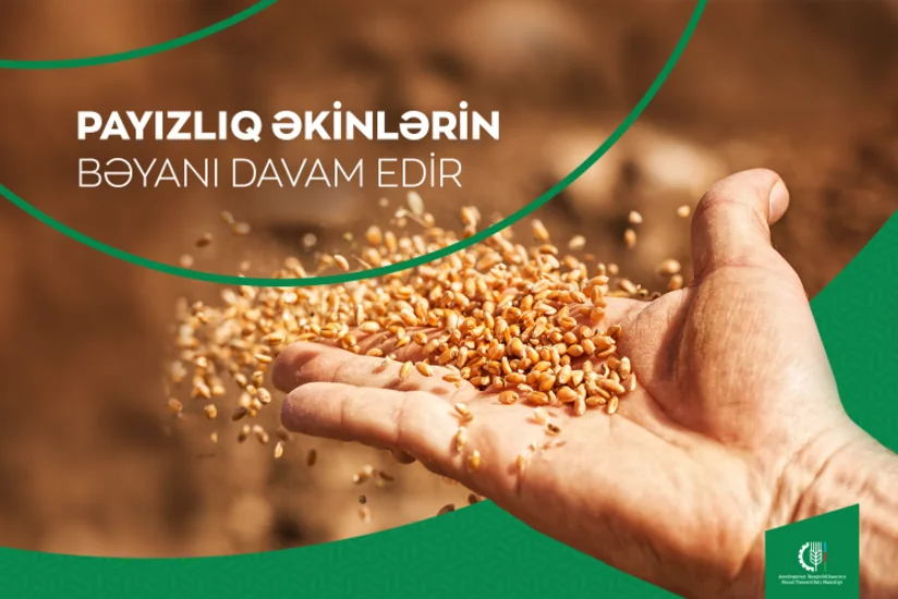 Kənd Təsərrüfatı Nazirliyi fermerlərə əkinlərin bəyanı ilə bağlı müraciət edib