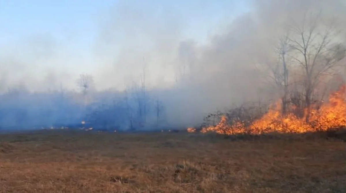 Hirkan Milli Parkında yanğın lokallaşdırılıb